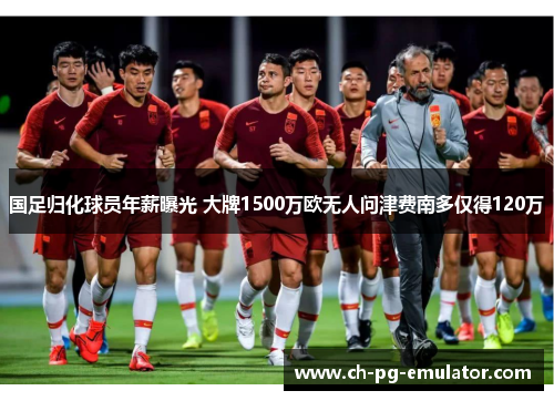 国足归化球员年薪曝光 大牌1500万欧无人问津费南多仅得120万 国足归化球员年薪曝光 大牌1500万欧无人问津费南多仅得120万