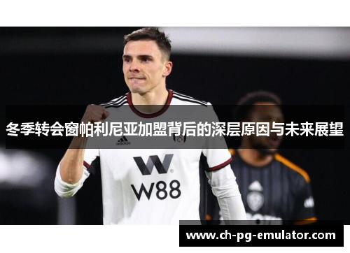 冬季转会窗帕利尼亚加盟背后的深层原因与未来展望 冬季转会窗帕利尼亚加盟背后的深层原因与未来展望