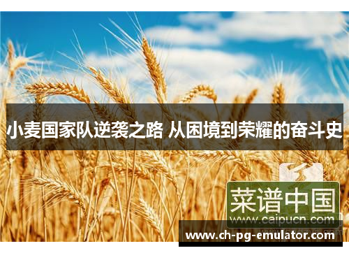 小麦国家队逆袭之路 从困境到荣耀的奋斗史 小麦国家队逆袭之路 从困境到荣耀的奋斗史