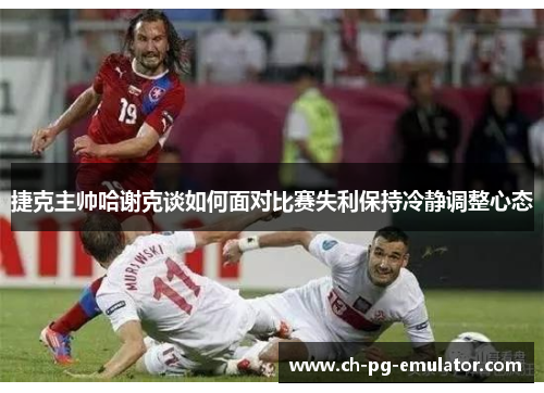 捷克主帅哈谢克谈如何面对比赛失利保持冷静调整心态 捷克主帅哈谢克谈如何面对比赛失利保持冷静调整心态