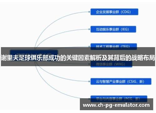 谢里夫足球俱乐部成功的关键因素解析及其背后的战略布局 谢里夫足球俱乐部成功的关键因素解析及其背后的战略布局