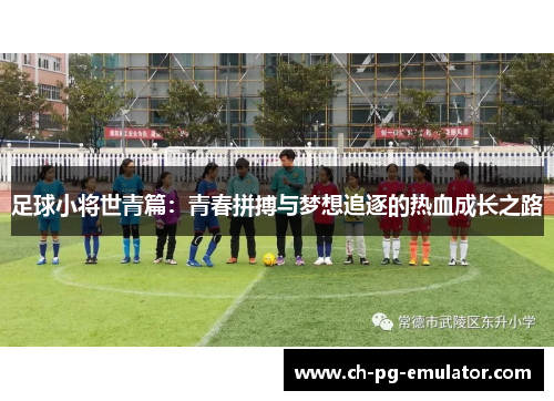 足球小将世青篇:青春拼搏与梦想追逐的热血成长之路 足球小将世青篇:青春拼搏与梦想追逐的热血成长之路
