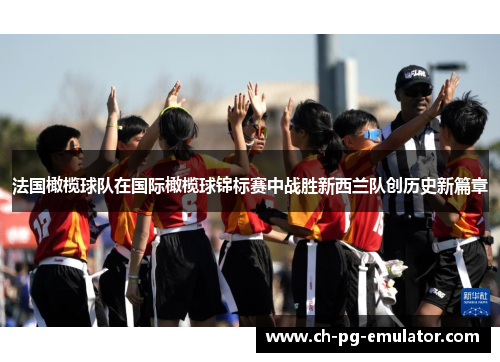 法国橄榄球队在国际橄榄球锦标赛中战胜新西兰队创历史新篇章
